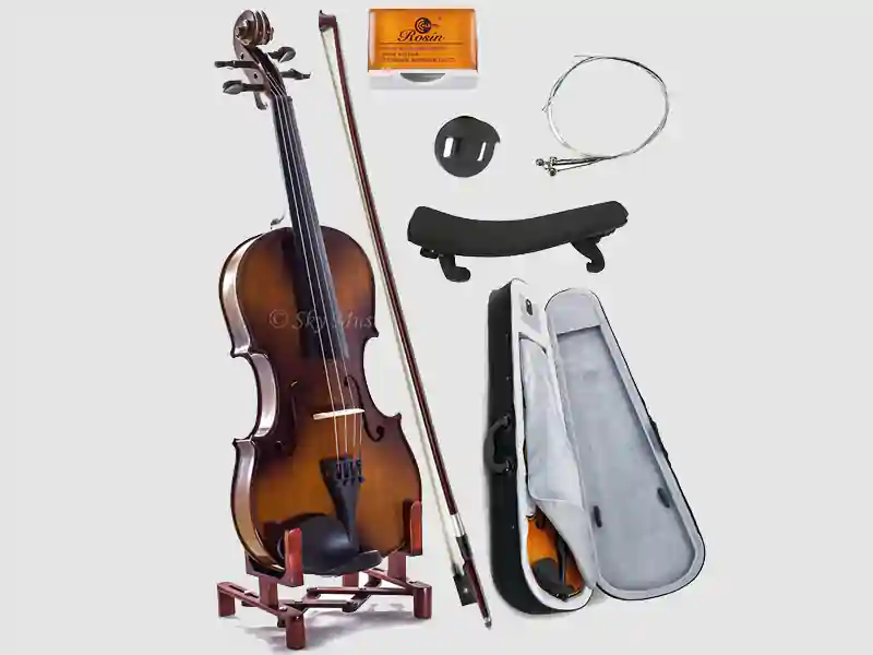 SKY 4/4 Full Size SKYVN201 Solid Maple Wood Violin